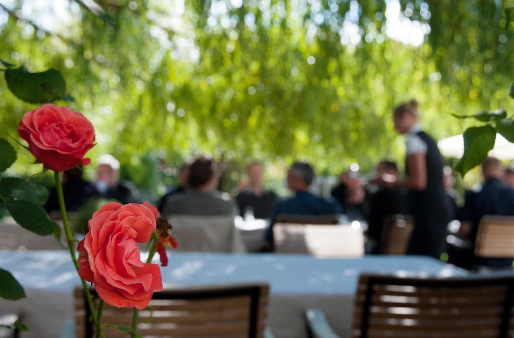 Hotel Landgut Burg Gmbh ไวน์ชตัดท์ ภายนอก รูปภาพ